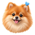 pomeranian-family-icon Pomeranian family care icon